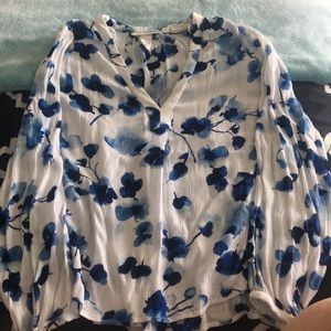 Long Sleeve, Sheer Blouse